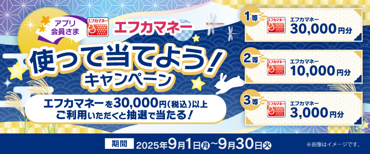 エフカマネー使って当てようキャンペーン