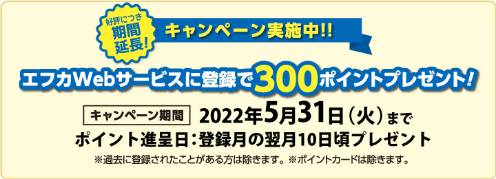 重要 エフカクレジットカードmastercard ご利用明細書の郵送停止に伴うお手続きについて フジ カードサービス Fuji Card Service 重要 エフカクレジットカードmastercard ご利用明細書の郵送停止に伴うお手続きについて フジ カードサービス Fuji Card Service