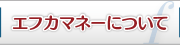 エフカマネーについて