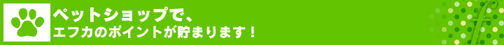 ペットショップで、エフカのポイントが貯まります！