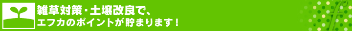 雑草対策・土壌改良で、エフカのポイントが貯まります！